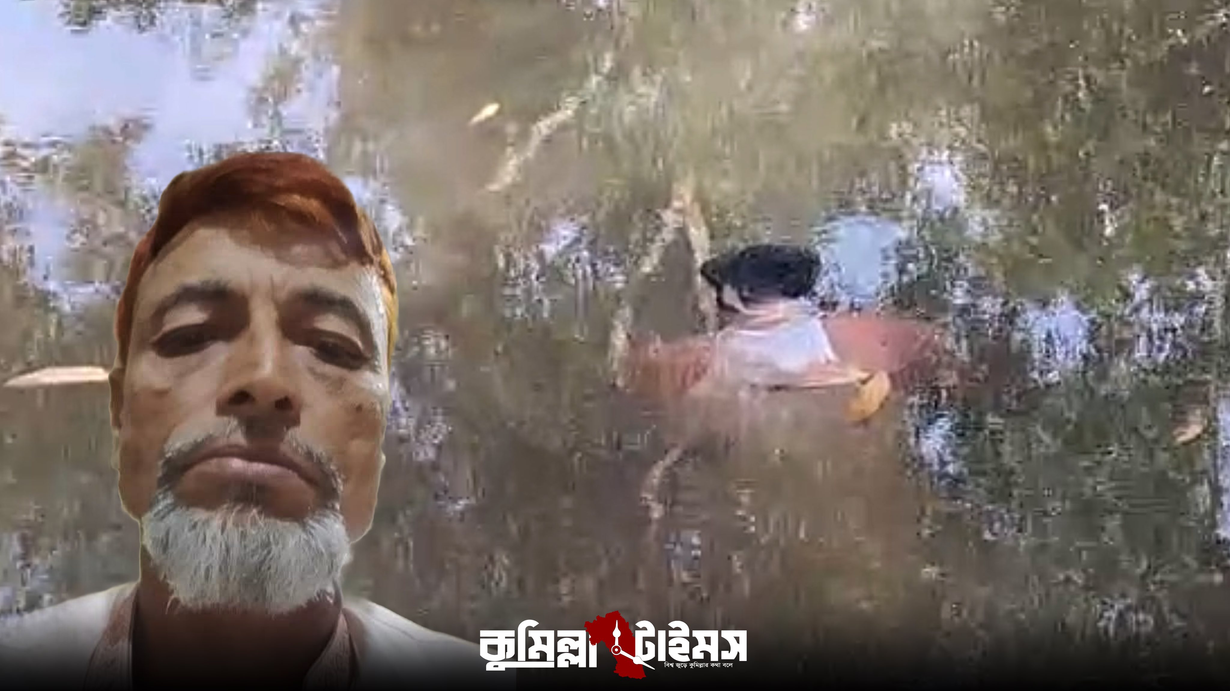 মুরাদনগরে পুকুর থেকে সেচ প্রকল্পের মালিকের গলাকাটা মরদেহ উদ্ধার